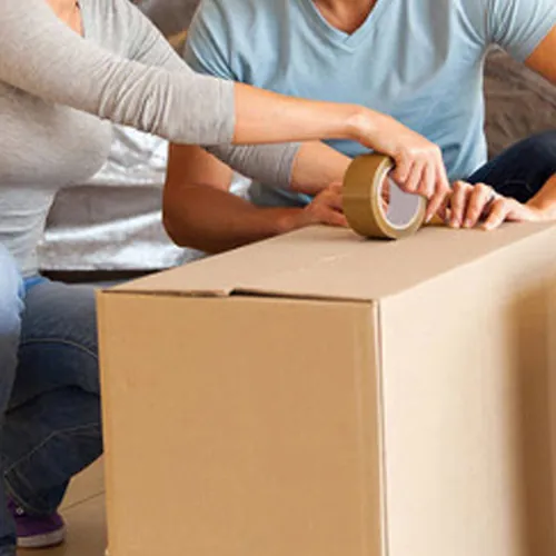 Our Services You Can Rely Upon