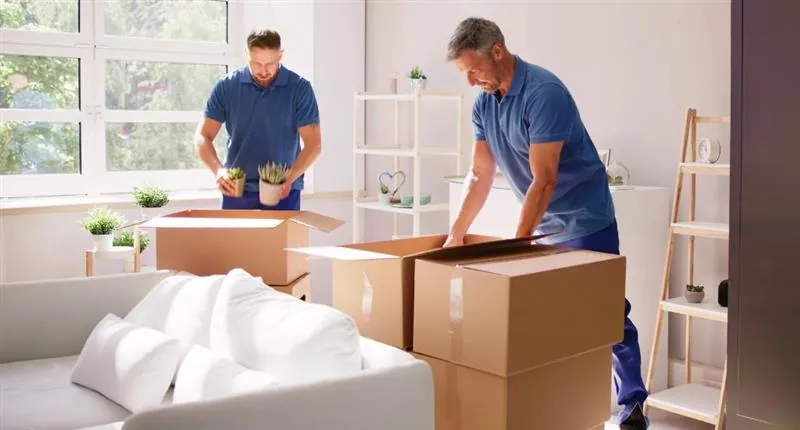 We Helped the Family Move from Adelaide to Norwood in Just One Day, Our Urgent Moving Service