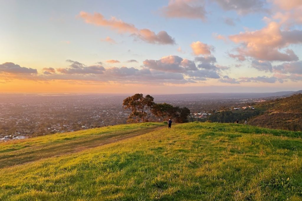 Best Removalists in Glen Osmond