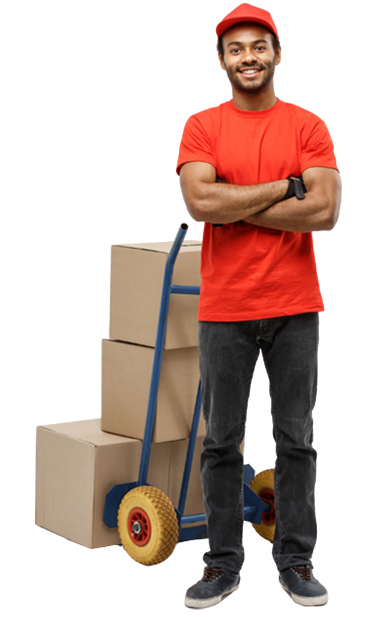 Removalists Adelaide Shifting Process